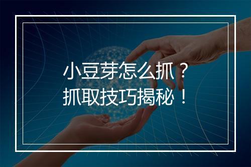小豆芽怎么抓？抓取技巧揭秘！