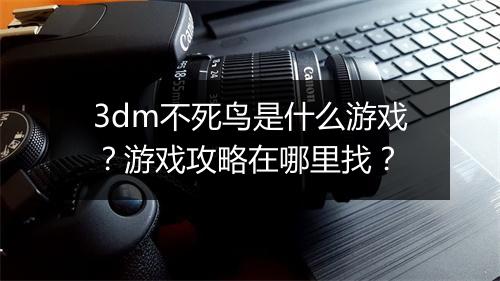 3dm不死鸟是什么游戏？游戏攻略在哪里找？