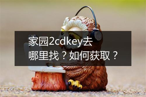 家园2cdkey去哪里找？如何获取？