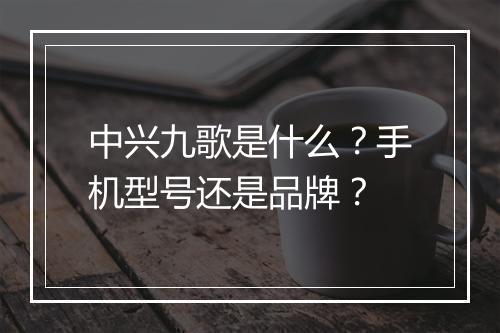中兴九歌是什么？手机型号还是品牌？