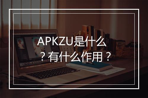 APKZU是什么？有什么作用？