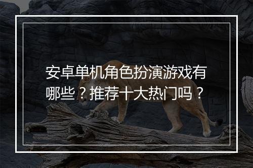 安卓单机角色扮演游戏有哪些？推荐十大热门吗？