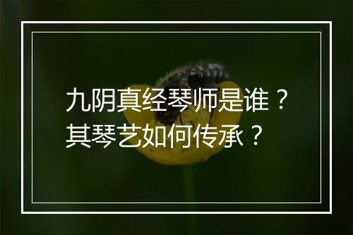 九阴真经琴师是谁？其琴艺如何传承？
