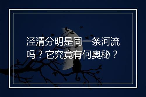 泾渭分明是同一条河流吗？它究竟有何奥秘？
