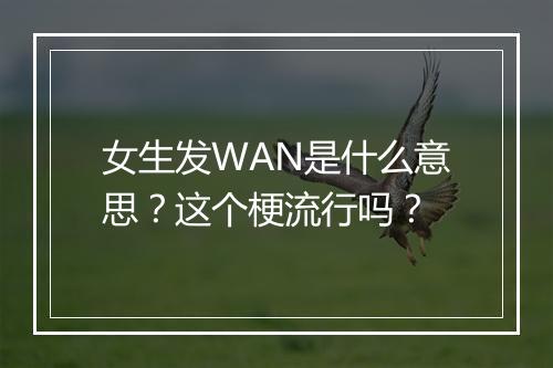 女生发WAN是什么意思？这个梗流行吗？