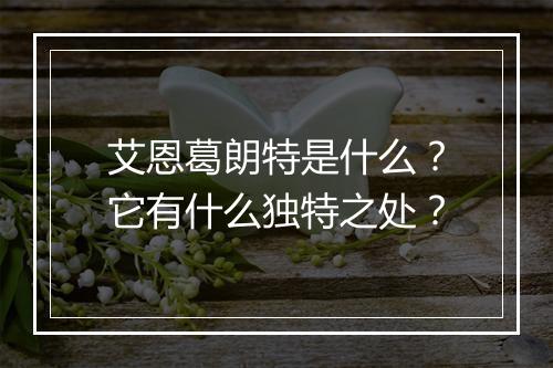 艾恩葛朗特是什么？它有什么独特之处？