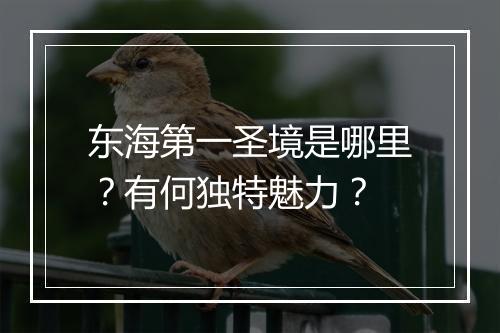 东海第一圣境是哪里？有何独特魅力？