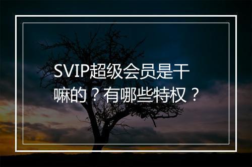 SVIP超级会员是干嘛的？有哪些特权？
