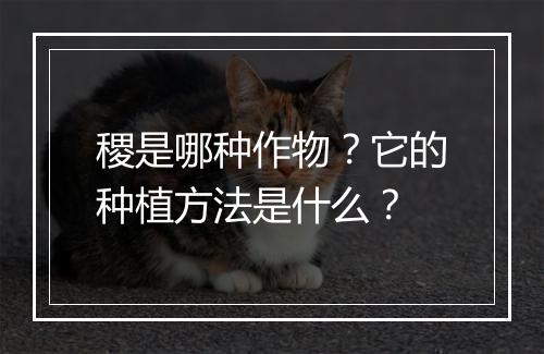 稷是哪种作物？它的种植方法是什么？