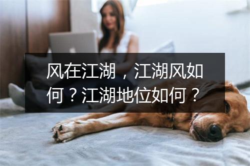 风在江湖，江湖风如何？江湖地位如何？