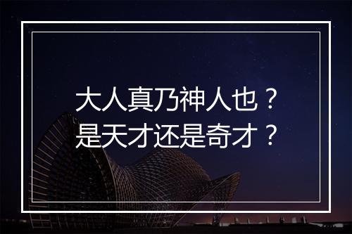 大人真乃神人也？是天才还是奇才？