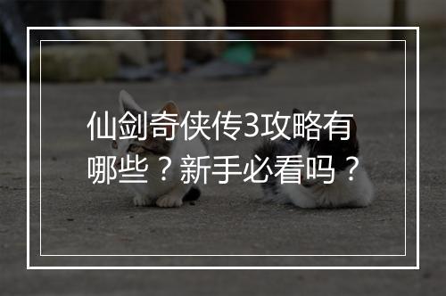 仙剑奇侠传3攻略有哪些？新手必看吗？