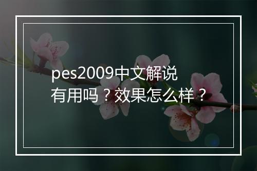 pes2009中文解说有用吗？效果怎么样？