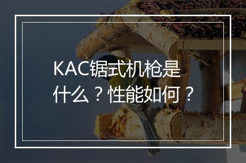KAC锯式机枪是什么？性能如何？