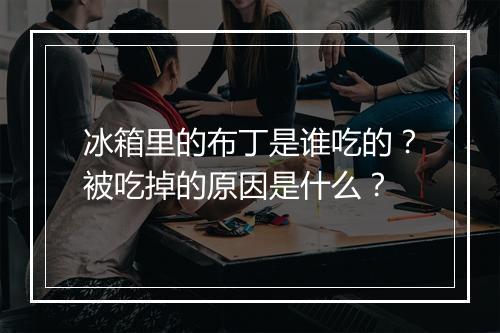 冰箱里的布丁是谁吃的？被吃掉的原因是什么？