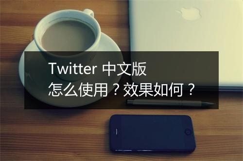 Twitter 中文版怎么使用？效果如何？
