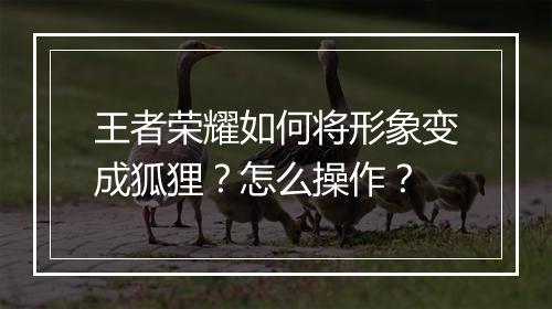 王者荣耀如何将形象变成狐狸？怎么操作？