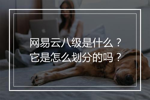 网易云八级是什么？它是怎么划分的吗？