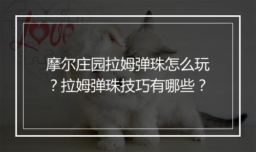 摩尔庄园拉姆弹珠怎么玩？拉姆弹珠技巧有哪些？