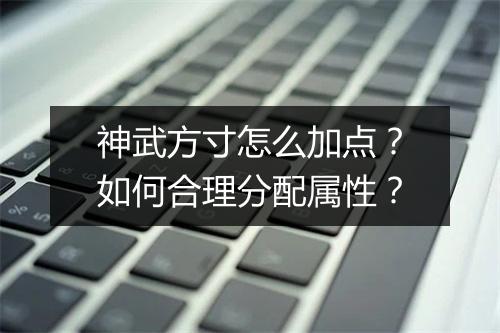 神武方寸怎么加点？如何合理分配属性？