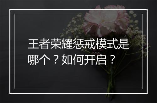 王者荣耀惩戒模式是哪个？如何开启？