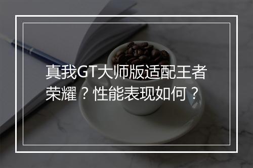 真我GT大师版适配王者荣耀？性能表现如何？
