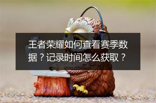 王者荣耀如何查看赛季数据？记录时间怎么获取？