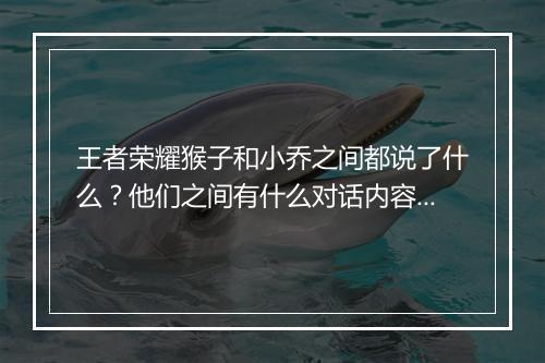 王者荣耀猴子和小乔之间都说了什么？他们之间有什么对话内容？