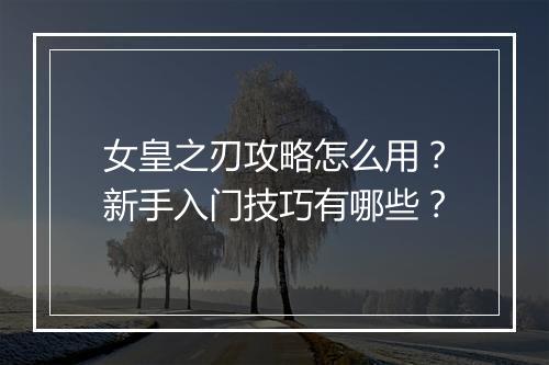 女皇之刃攻略怎么用？新手入门技巧有哪些？