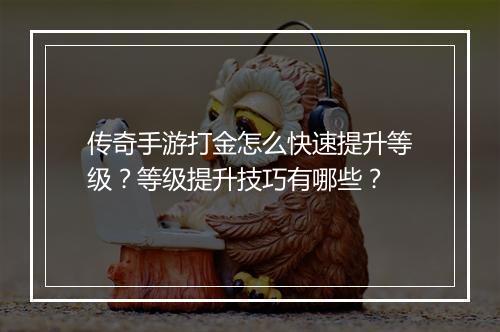 传奇手游打金怎么快速提升等级？等级提升技巧有哪些？