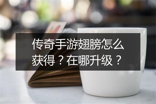 传奇手游翅膀怎么获得？在哪升级？