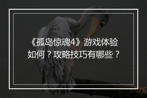 《孤岛惊魂4》游戏体验如何？攻略技巧有哪些？