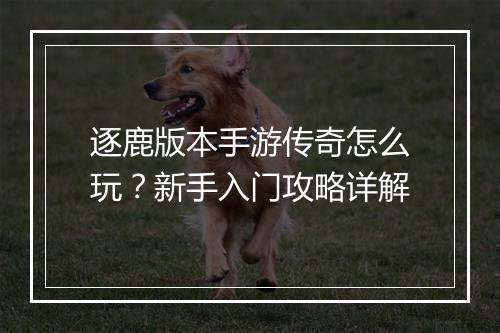 逐鹿版本手游传奇怎么玩？新手入门攻略详解