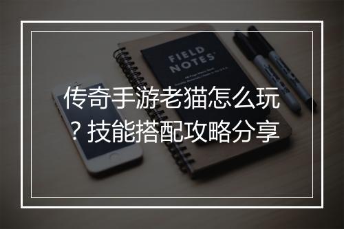 传奇手游老猫怎么玩？技能搭配攻略分享