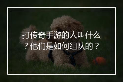 打传奇手游的人叫什么？他们是如何组队的？