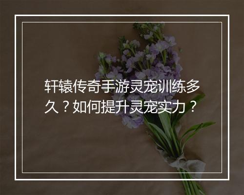 轩辕传奇手游灵宠训练多久？如何提升灵宠实力？