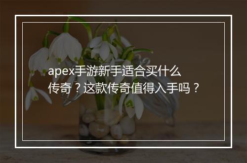 apex手游新手适合买什么传奇？这款传奇值得入手吗？