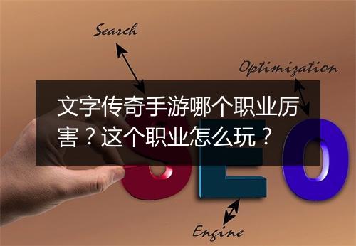 文字传奇手游哪个职业厉害？这个职业怎么玩？