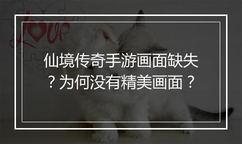 仙境传奇手游画面缺失？为何没有精美画面？