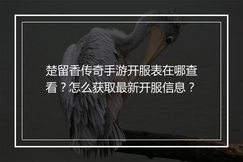 楚留香传奇手游开服表在哪查看？怎么获取最新开服信息？