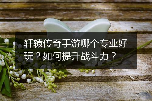 轩辕传奇手游哪个专业好玩？如何提升战斗力？