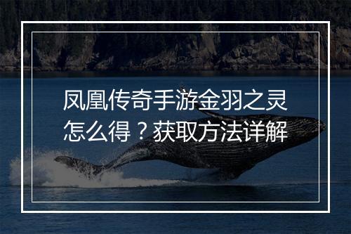 凤凰传奇手游金羽之灵怎么得？获取方法详解