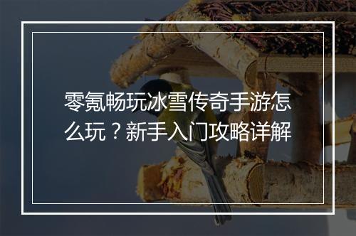 零氪畅玩冰雪传奇手游怎么玩？新手入门攻略详解