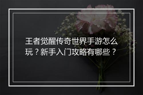 王者觉醒传奇世界手游怎么玩？新手入门攻略有哪些？