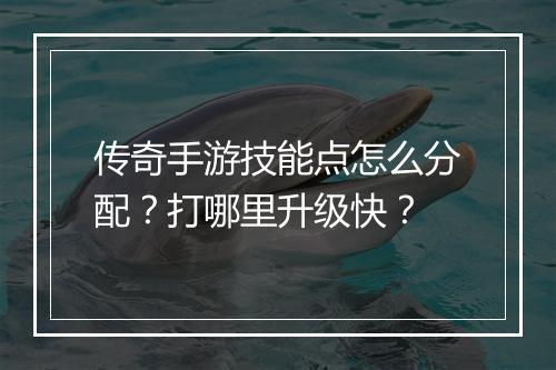 传奇手游技能点怎么分配？打哪里升级快？