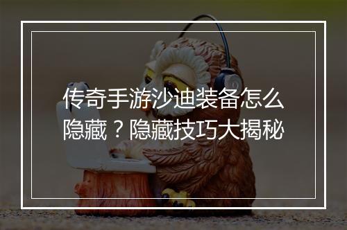 传奇手游沙迪装备怎么隐藏？隐藏技巧大揭秘