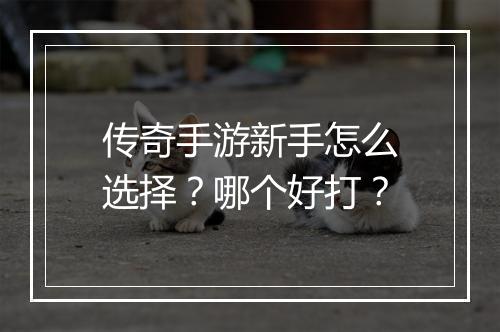 传奇手游新手怎么选择？哪个好打？