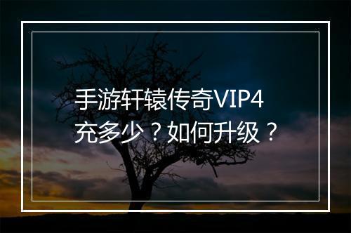 手游轩辕传奇VIP4充多少？如何升级？