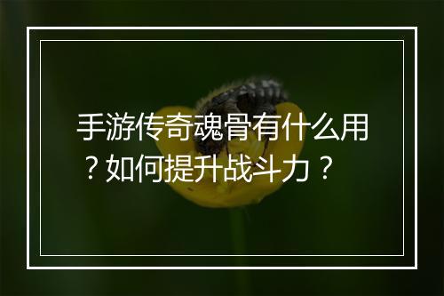 手游传奇魂骨有什么用？如何提升战斗力？