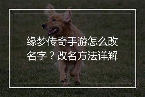 缘梦传奇手游怎么改名字？改名方法详解